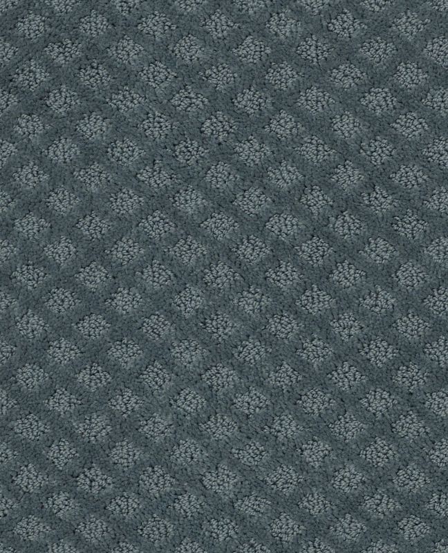 Shaw Floors Nfa/Apg Nature's Own Azure