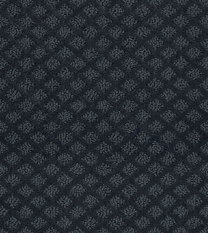 Shaw Floors Nfa/Apg Nature's Own Indigo