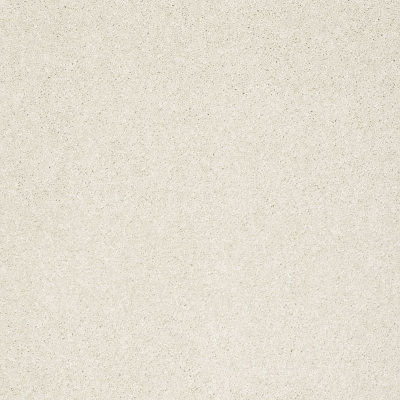 Shaw Floors Nfa/Apg Graceful Texture Cool Breeze