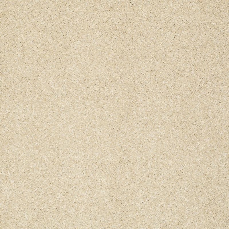 Shaw Floors Nfa/Apg Graceful Texture Chenille Soft