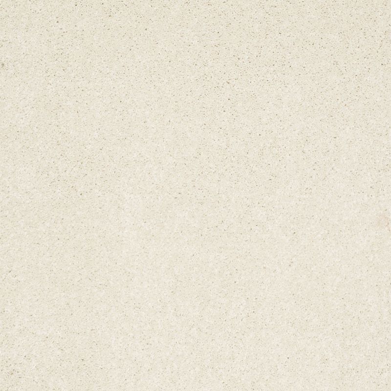 Shaw Floors Nfa/Apg Elegant Texture Fine China