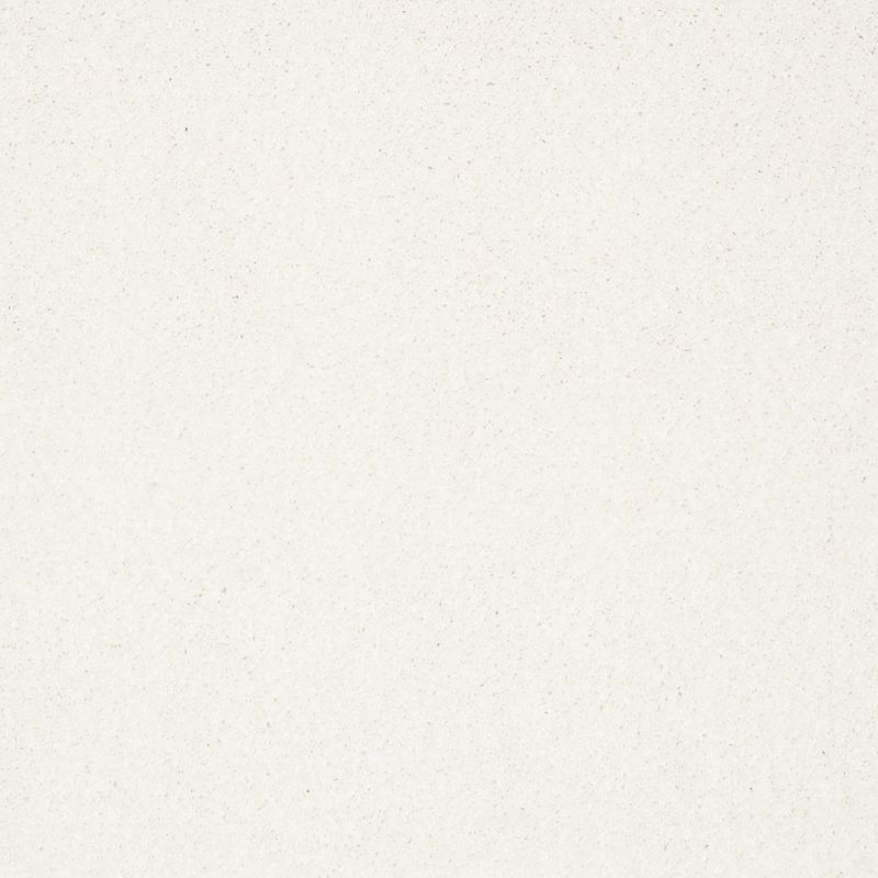 Shaw Floors Nfa/Apg Elegant Texture Snow Cap