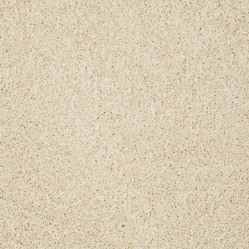 Shaw Floors Nfa/Apg Graceful Twist Chenille Soft