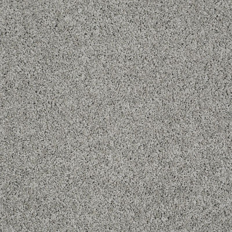 Shaw Floors Nfa/Apg Graceful Twist Elephant Gray