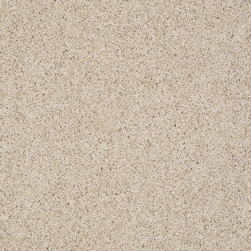 Shaw Floors Nfa/Apg Graceful Twist Natural Wood