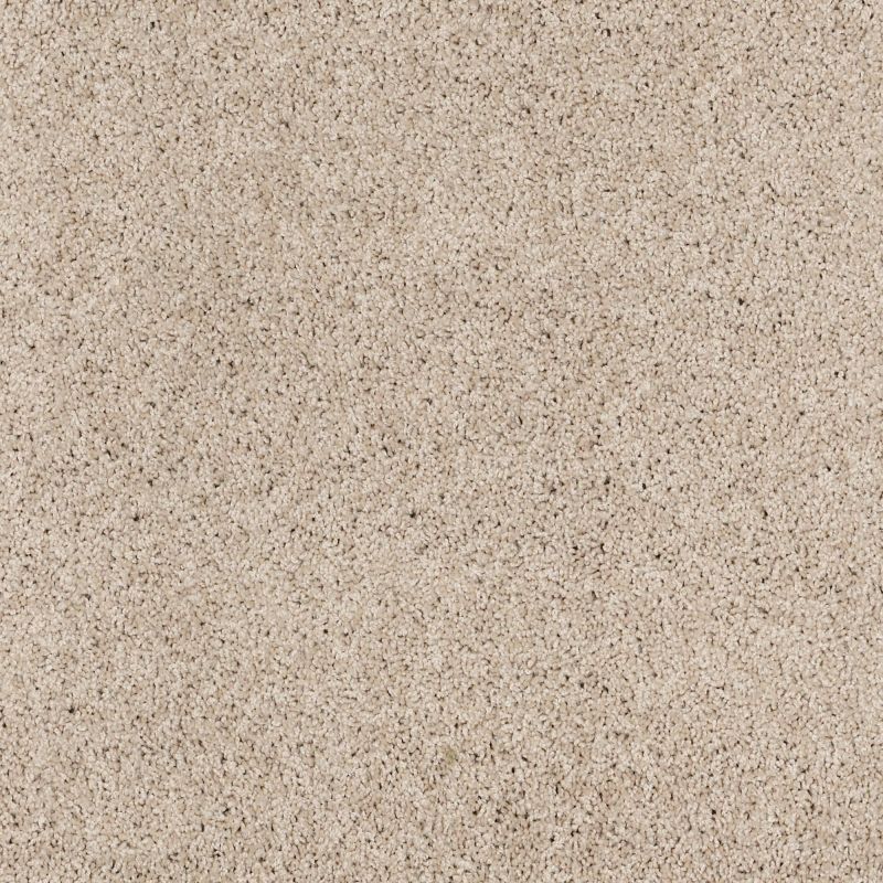 Shaw Floors Nfa/Apg Elegant Twist Candlewick