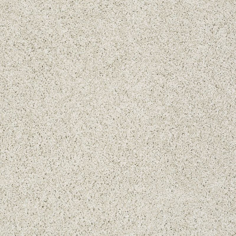 Shaw Floors Nfa/Apg Elegant Twist Vienna Sights
