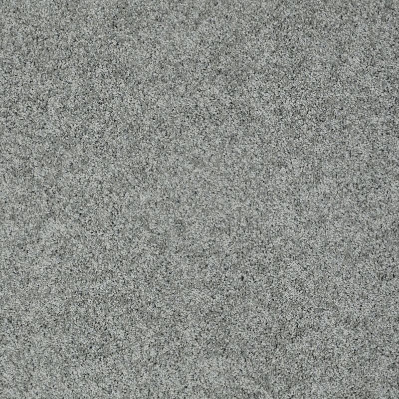 Shaw Floors Nfa/Apg Elegant Twist Bar Harbor