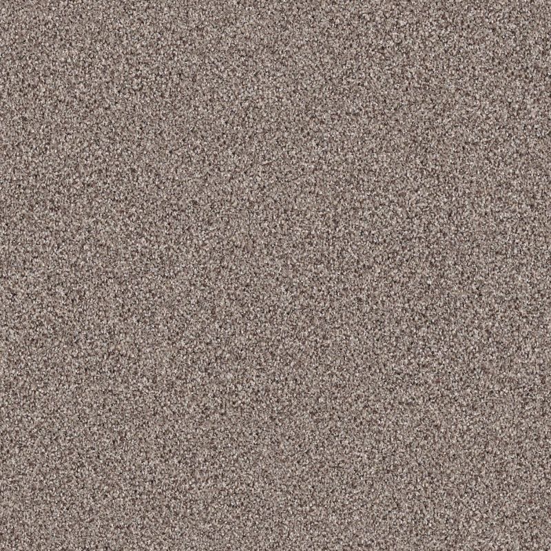 Shaw Floors Nfa/Apg Graceful Texture Tonal Landmark