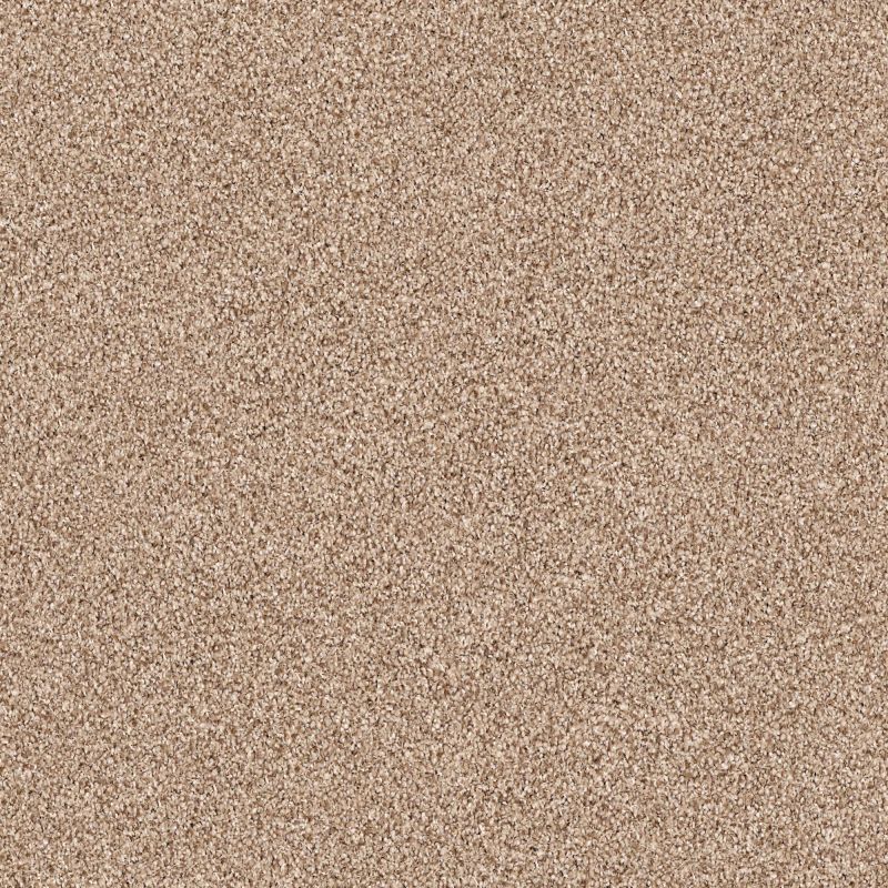 Shaw Floors Nfa/Apg Graceful Texture Tonal Hidden Treasure
