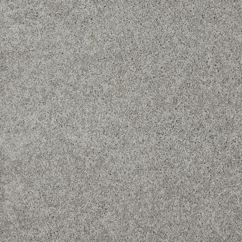 Shaw Floors Nfa/Apg Detailed Elegance II Glaze