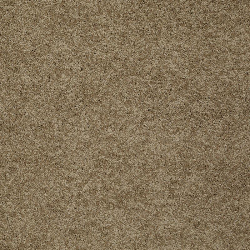 Shaw Floors Nfa/Apg Detailed Elegance II Twig