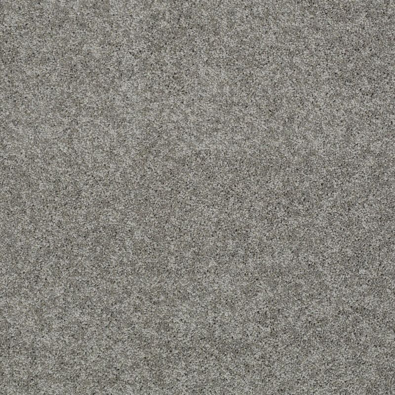 Shaw Floors Nfa/Apg Detailed Elegance II Fog