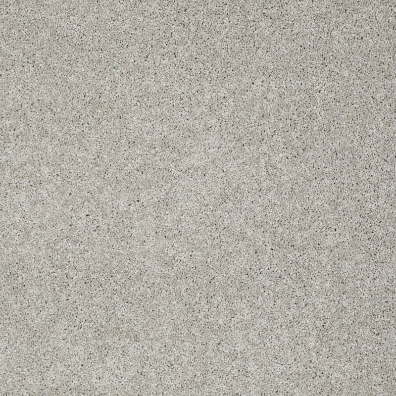 Shaw Floors Nfa/Apg Detailed Elegance III Ash