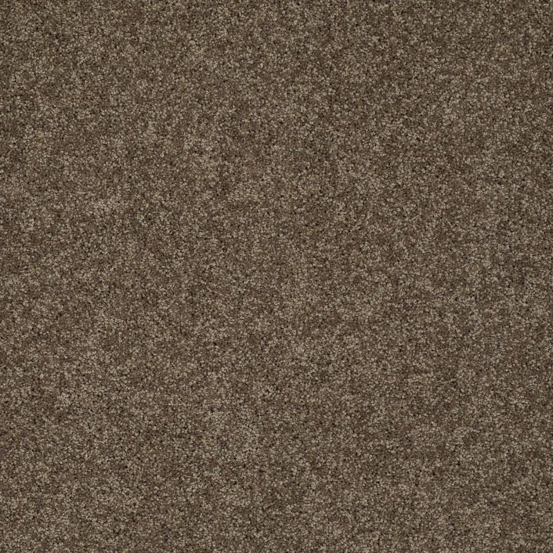 Shaw Floors Nfa/Apg Detailed Elegance III Weathered Wood