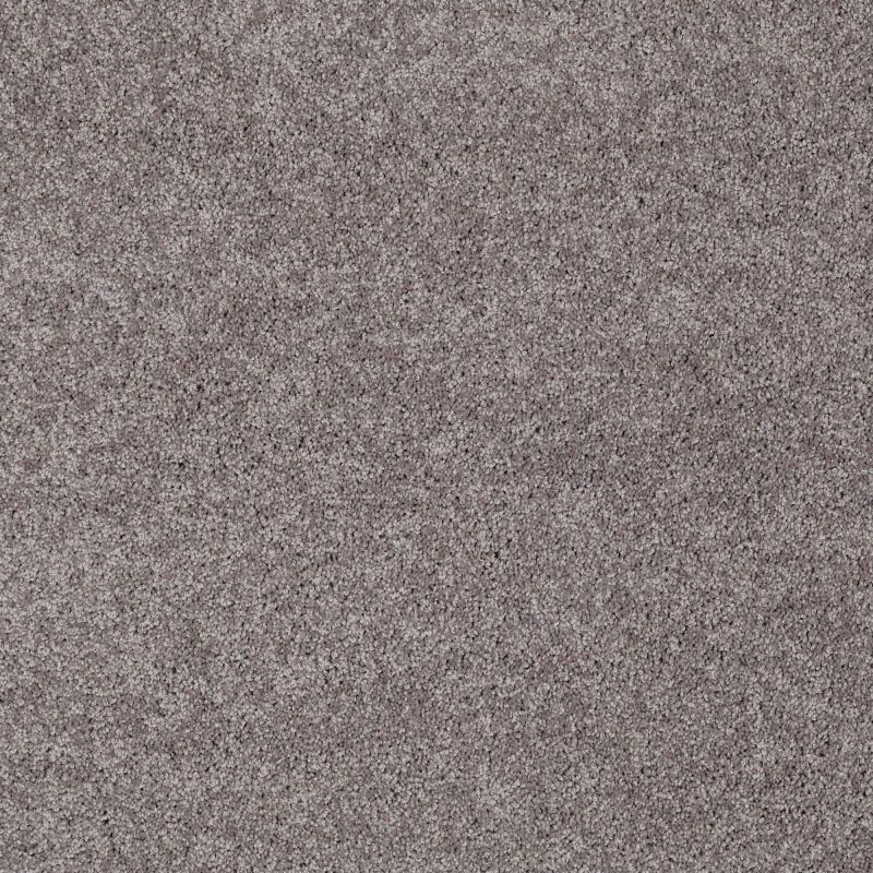 Shaw Floors Nfa/Apg Detailed Elegance III Sepia