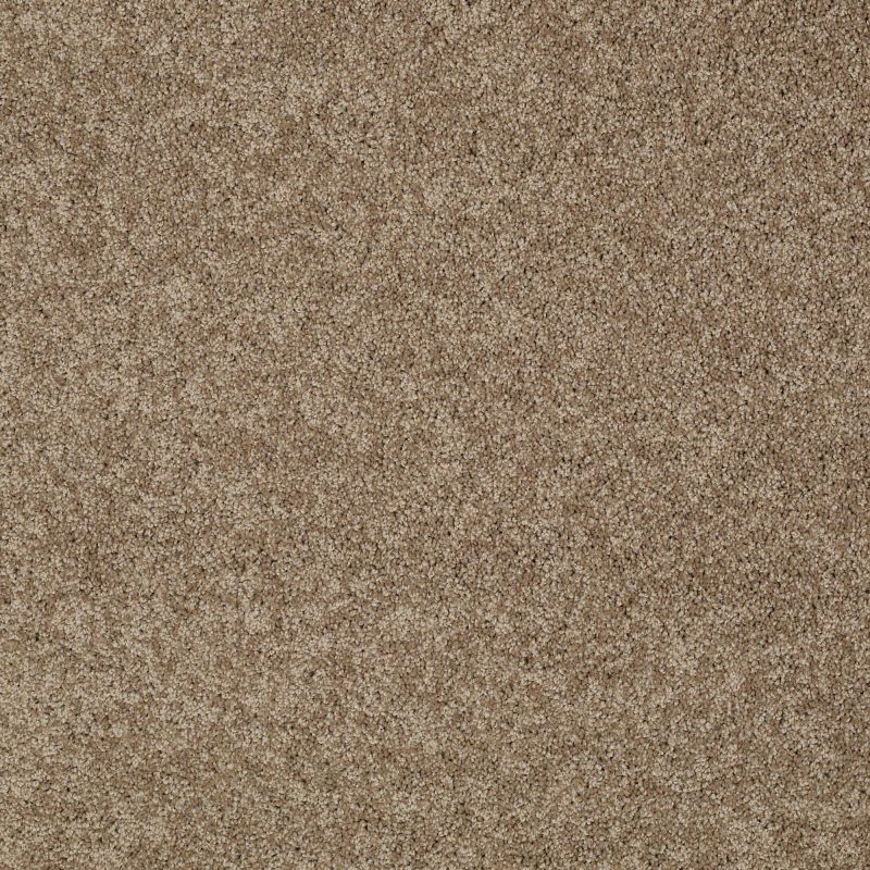 Shaw Floors Nfa/Apg Detailed Elegance I Saffron