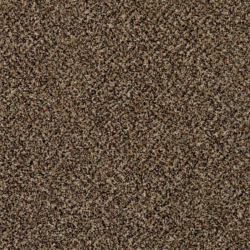 Shaw Floors Nfa Breaking Rules I 15 Raw Sienna