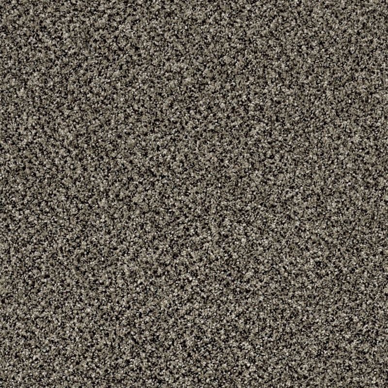 Shaw Floors Nfa Breaking Rules II 12 Timber Wolf