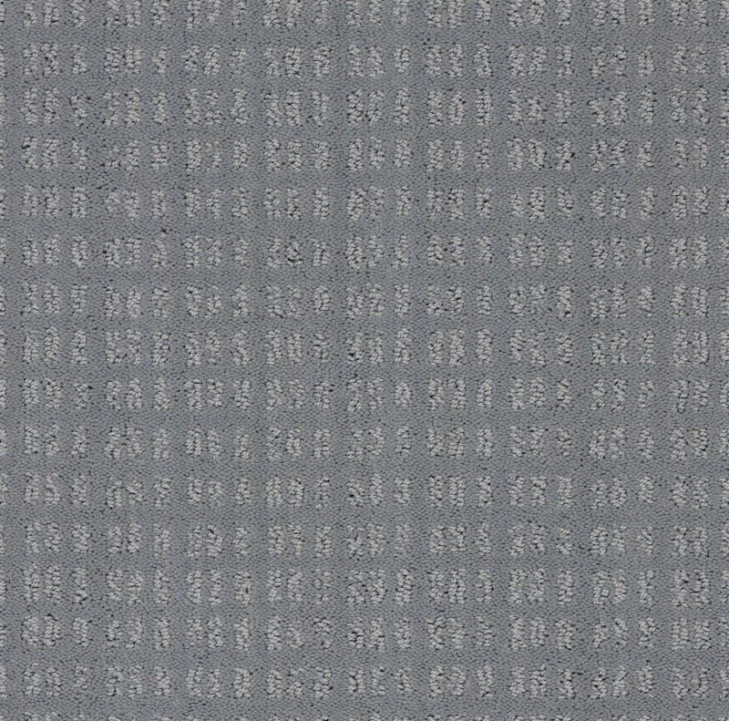 Shaw Floors Nfa Now Or Never Grey Fox