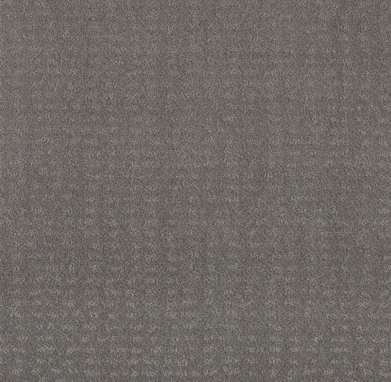 Shaw Floors Nfa Latest Thing Grey Fox