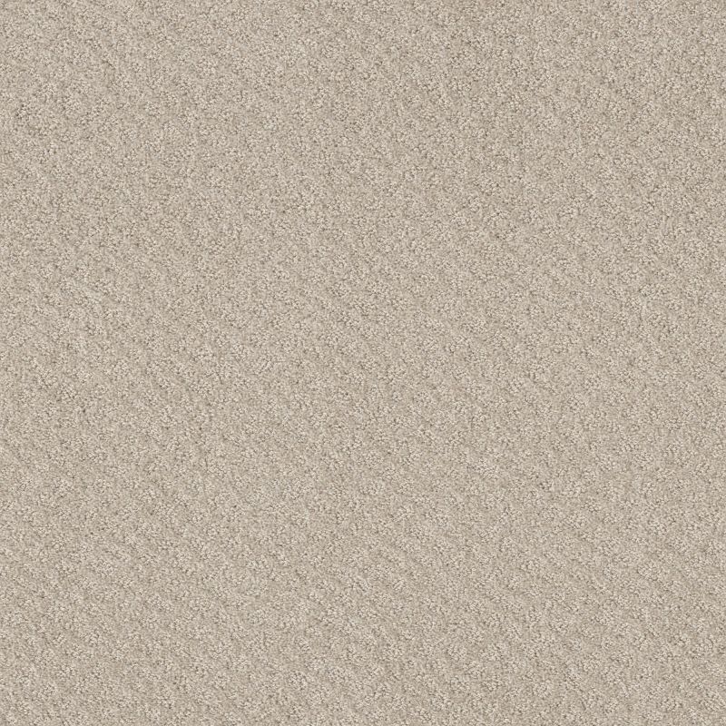 Shaw Floors Nfa Mod Beauty Washed Linen