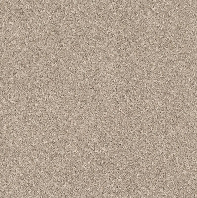 Shaw Floors Nfa Mod Beauty Butter Cream