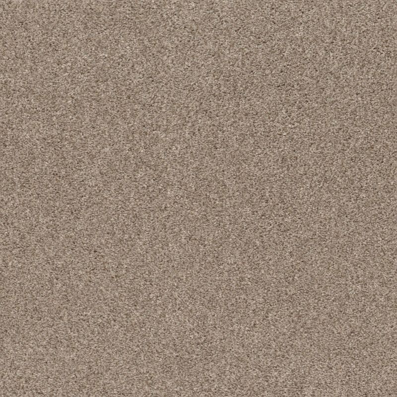 Shaw Floors Pet Perfect Plus Calm Embrace I Beige Bisque