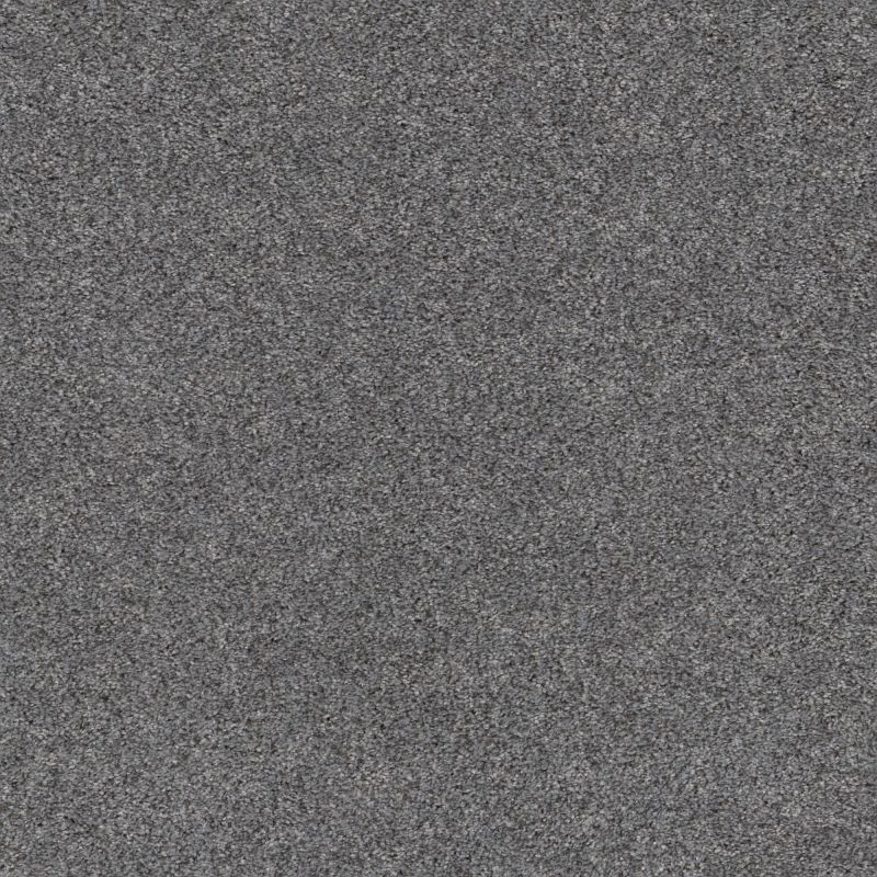 Shaw Floors Pet Perfect Plus Calm Embrace I Stormy Breeze