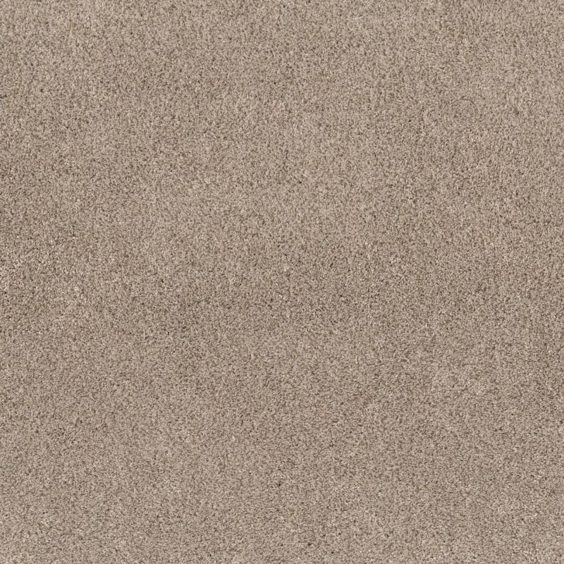 Shaw Floors Pet Perfect Plus Calm Embrace II Beige Bisque