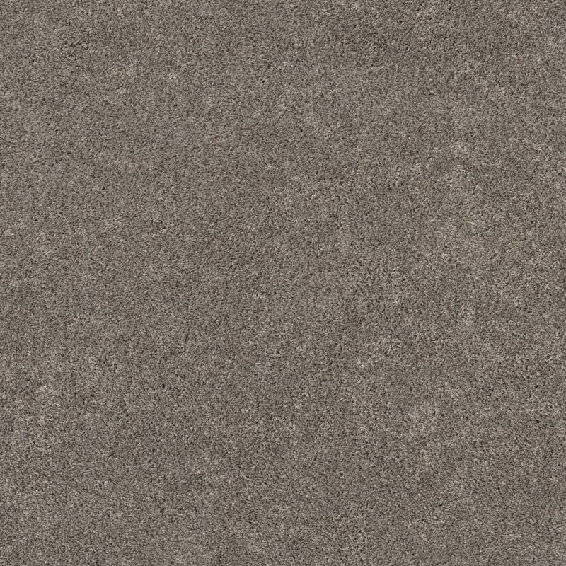 Shaw Floors Pet Perfect Plus Calm Embrace II Dark Maple