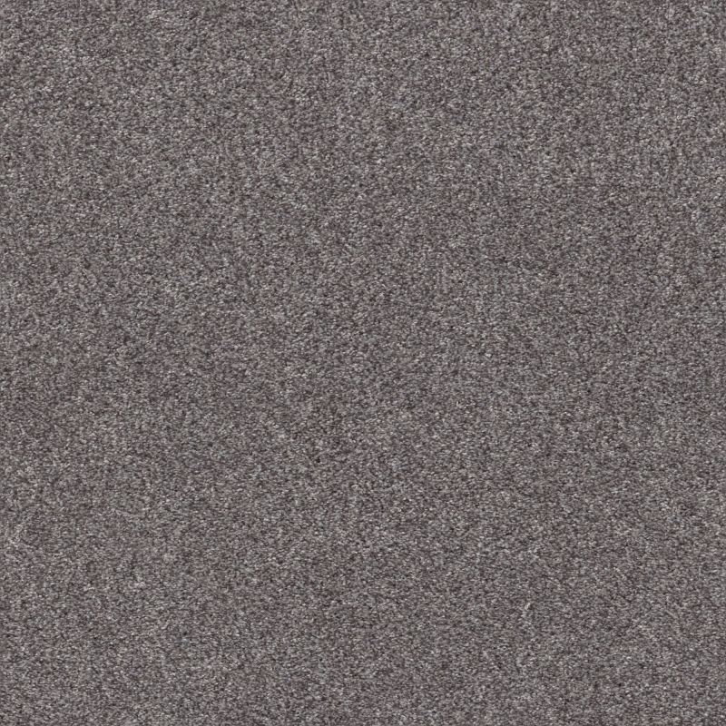 Shaw Floors Pet Perfect Plus Simple Charm I Silver Lining