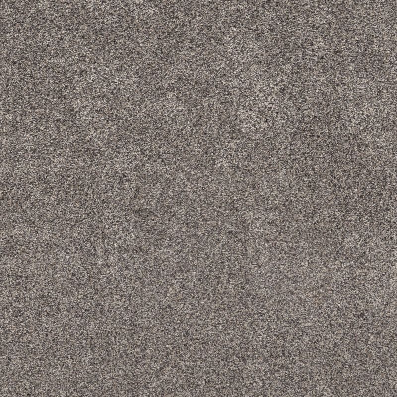 Shaw Floors Pet Perfect Plus Simple Charm II Shoreline