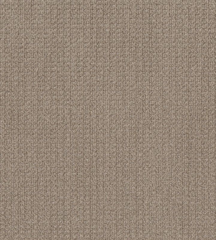 Shaw Floors Nfa Stay Tuned French Linen