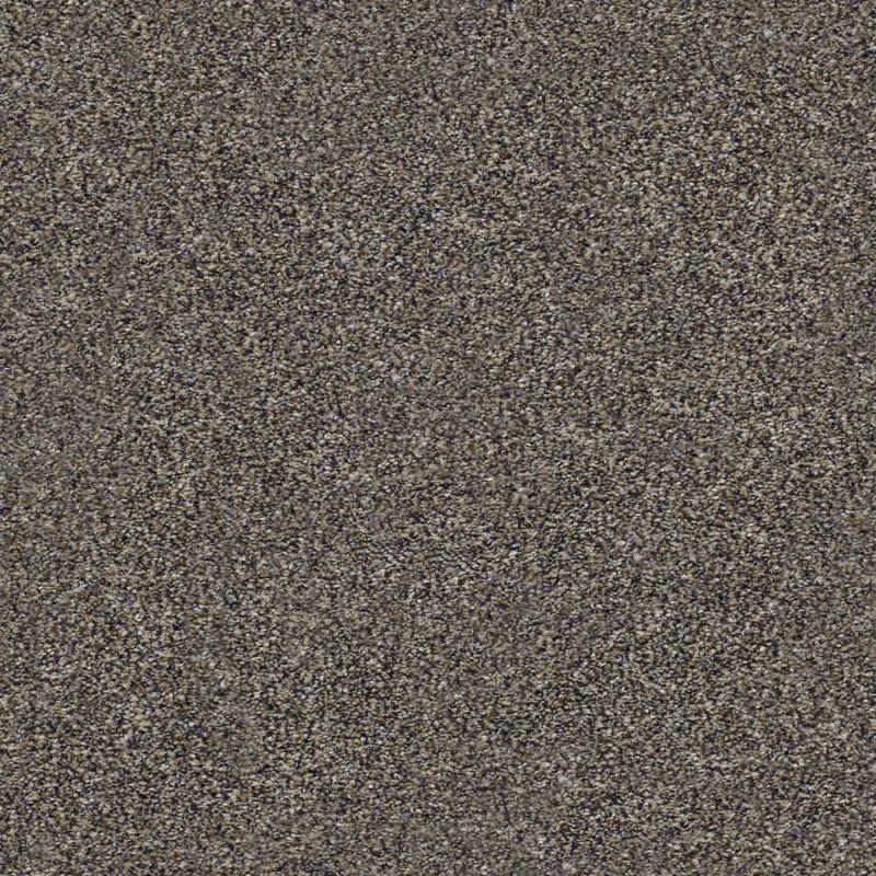 Shaw Floors Nfa Out Of Reach III Beige Bisque