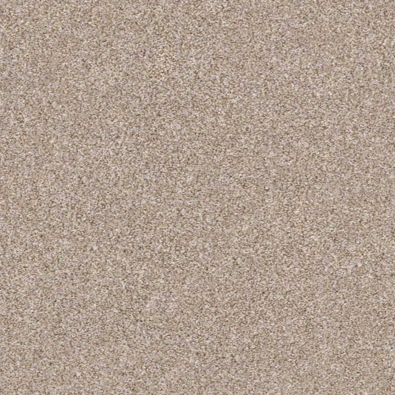 Shaw Floors Nfa Mine To Keep II Grecian Tan