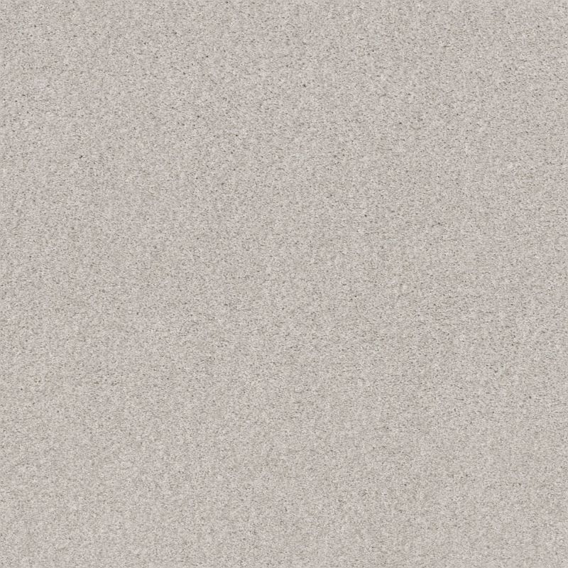 Shaw Floors Nfa Cozy Mist I Free Space