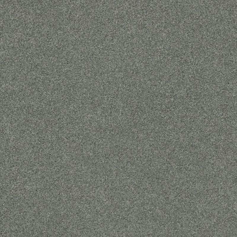 Shaw Floors Nfa Cozy Mist I Waters Edge