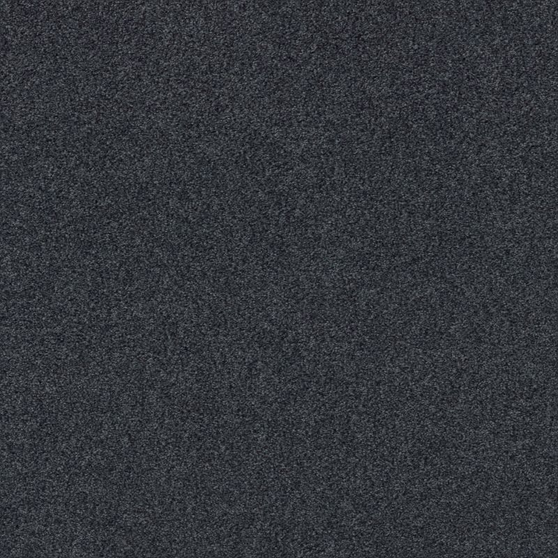 Shaw Floors Nfa Cozy Mist I Deep Sea