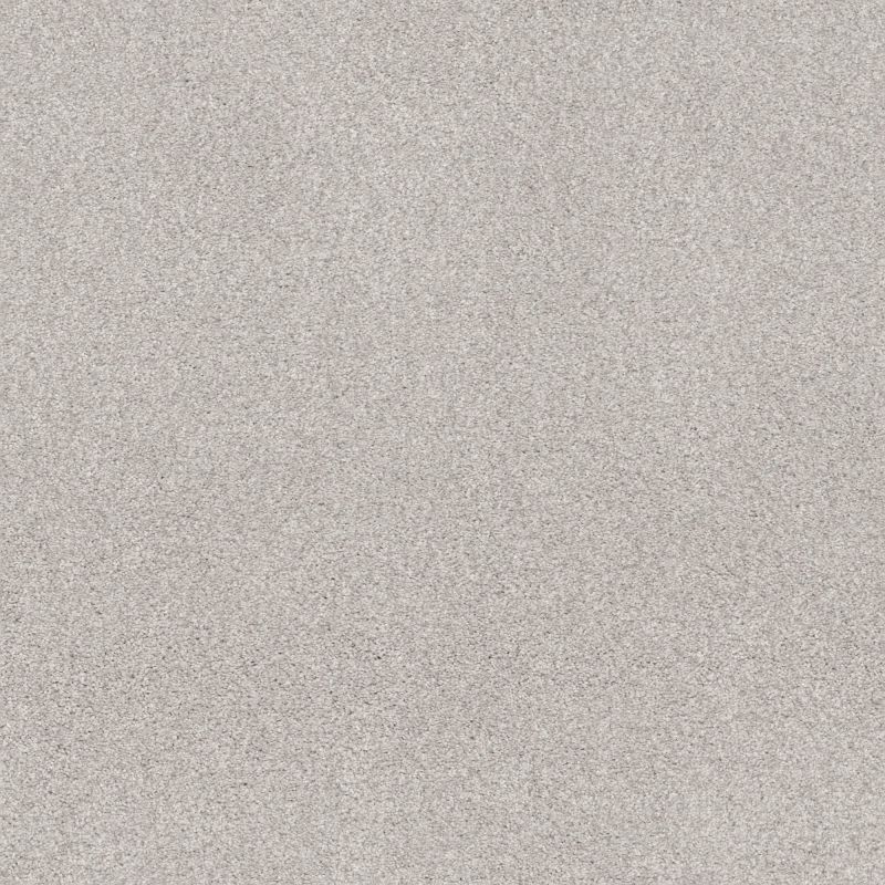 Shaw Floors Nfa Cozy Mist I Minimal