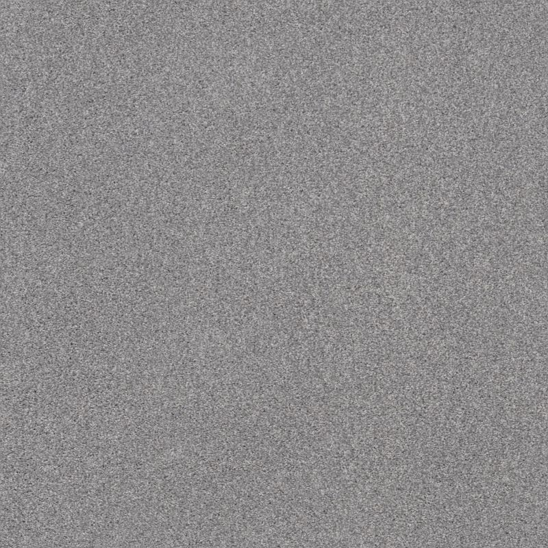 Shaw Floors Nfa Cozy Mist I Cool Harmony