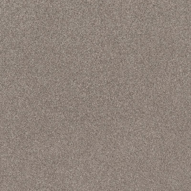 Shaw Floors Nfa Cozy Mist I Stucco