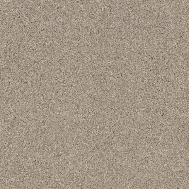 Shaw Floors Nfa Cozy Mist I Sandstone
