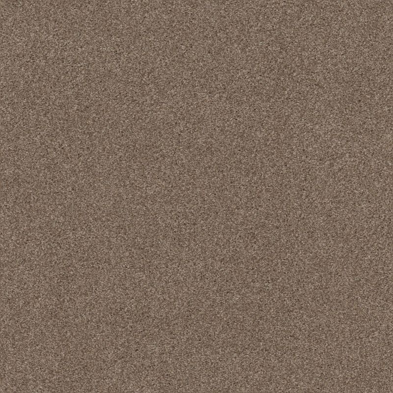 Shaw Floors Nfa Cozy Mist I Tumbleweed