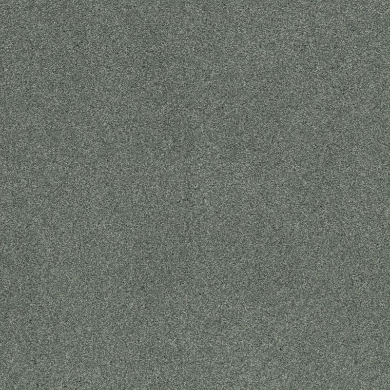 Shaw Floors Nfa Cozy Mist II Waters Edge