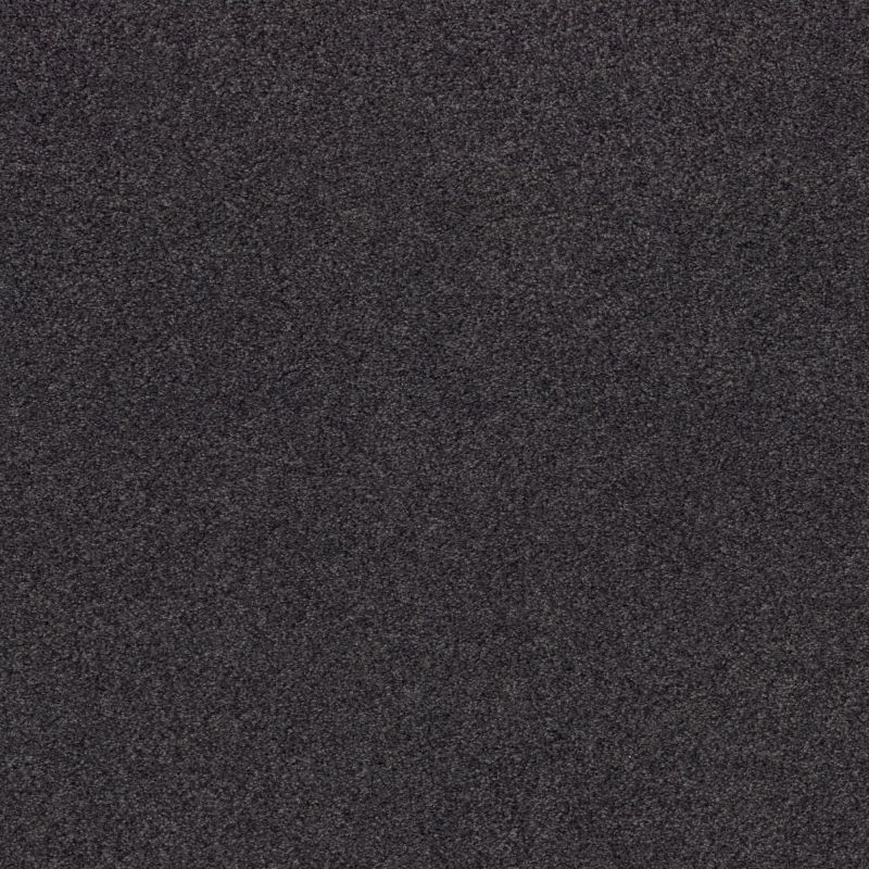 Shaw Floors Nfa Cozy Mist II Wrought Iron
