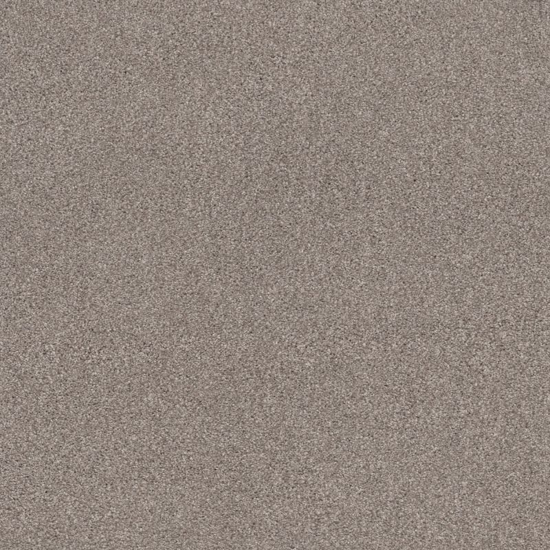 Shaw Floors Nfa Cozy Mist II Stucco