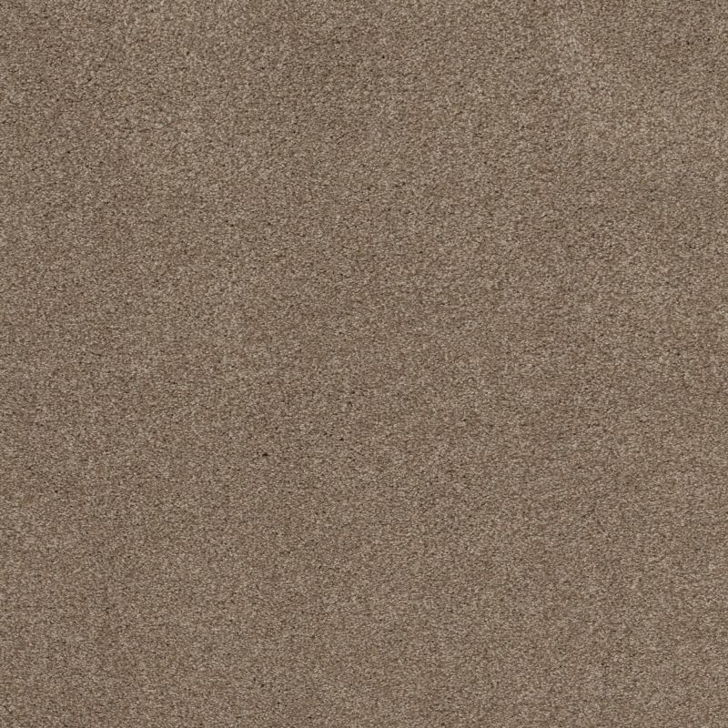 Shaw Floors Nfa Cozy Mist II Tumbleweed