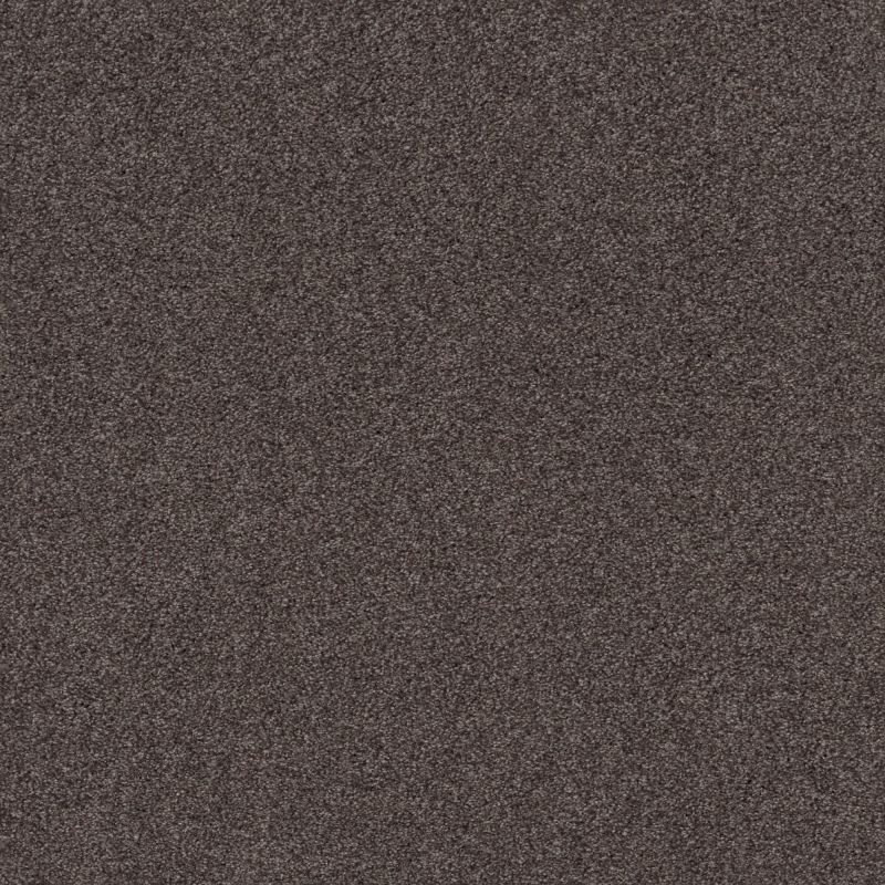 Shaw Floors Nfa Cozy Mist II Burma Brown