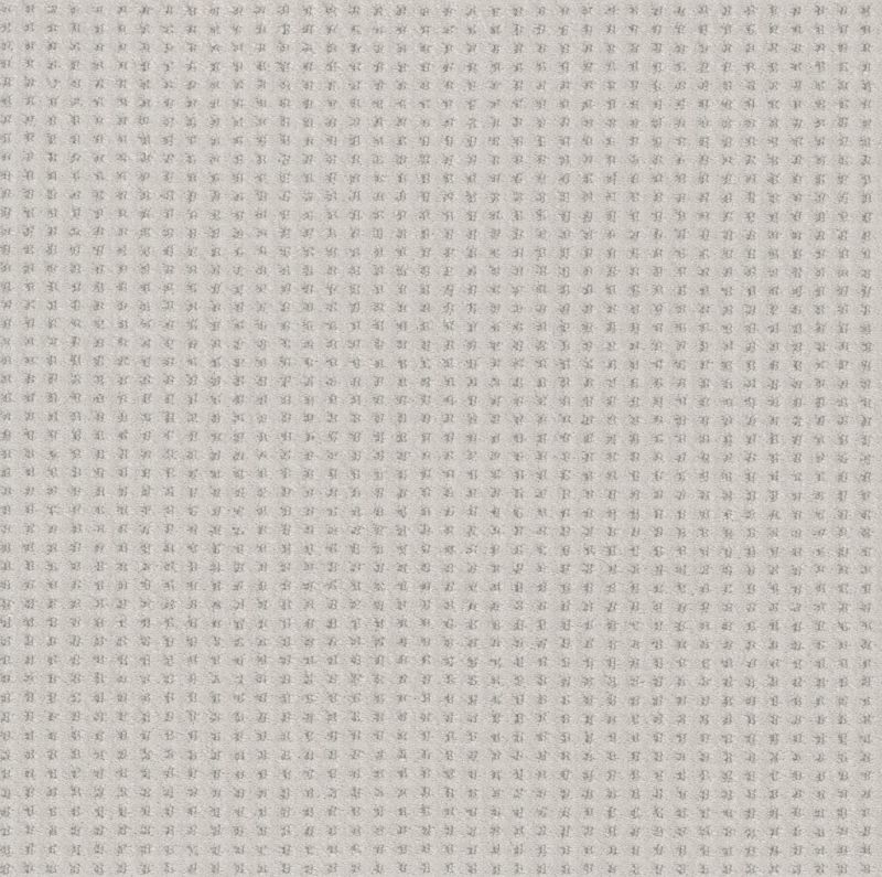 Shaw Floors Nfa Linvale Minimal